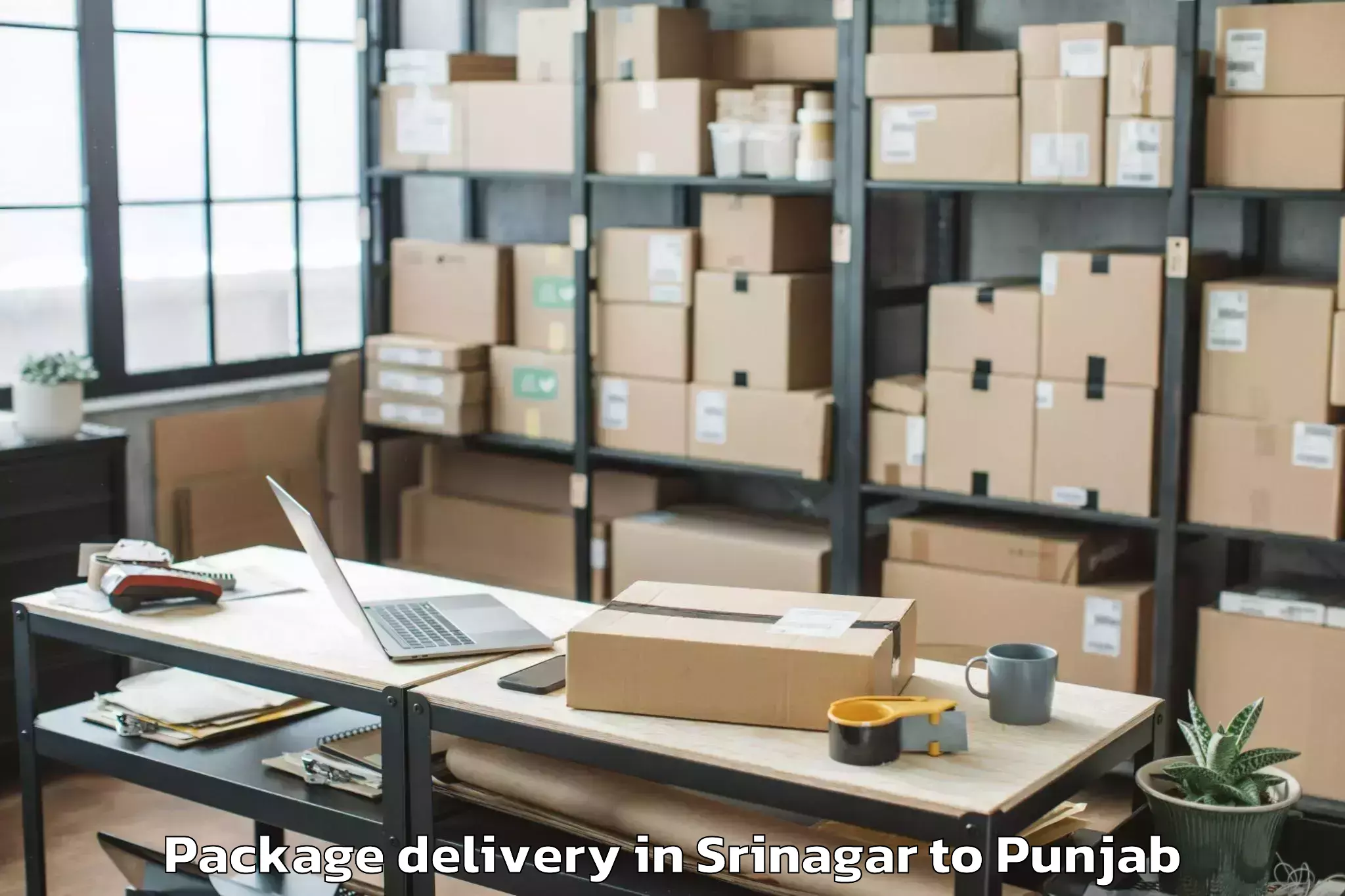 Trusted Srinagar to Faridkot Package Delivery